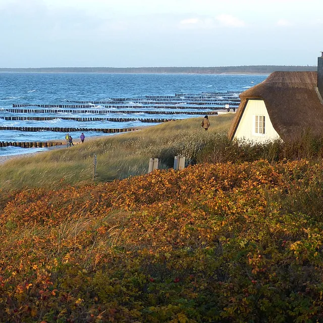 Reiseprogramm: Ostseeinseln – Rügen, Hiddensee & Usedom Unterbringung im Hotel Villa Sano, Baabe