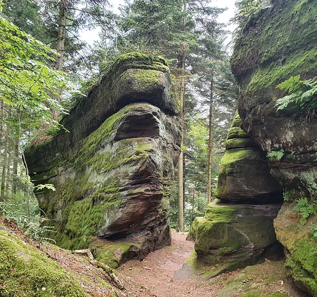 Wandern auf mystischen Pfaden in den Nordvogesen